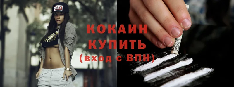 где продают наркотики  Кологрив  Cocaine Fish Scale 