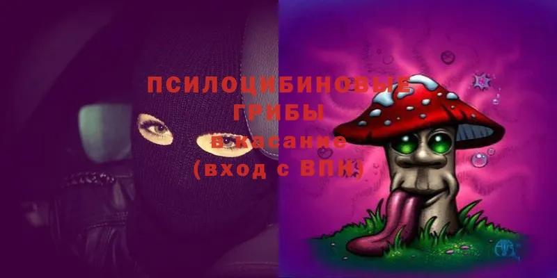 mega рабочий сайт  закладка  Кологрив  Галлюциногенные грибы MAGIC MUSHROOMS 